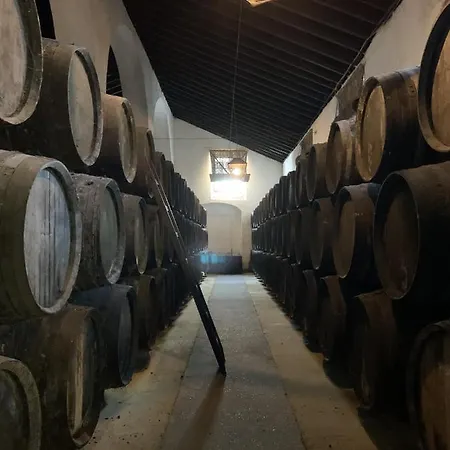 Casa Miguel - 4 *